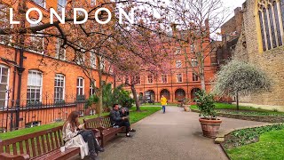 London Spring Walk, Cherry Blossom, Super Cars and Super Rich, Mayfair and Kensington Walking Tour by London Walk by London Socialite 18,801 views 1 month ago 1 hour, 24 minutes