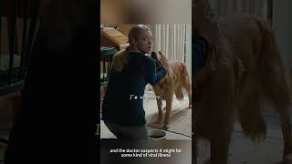 Emotional and raw clip from The Art of Racing in the Rain full of tender family feelings and stress