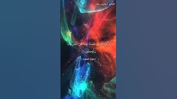 ما تيسر من سورة الشعراء بصوت القارئ الشيخ فارس عباد ❤️❤️❤️❤️