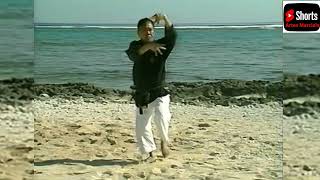 Hakutsuru No Kata Shinpo Matayoshi-Kata Da Egret Garça Branca