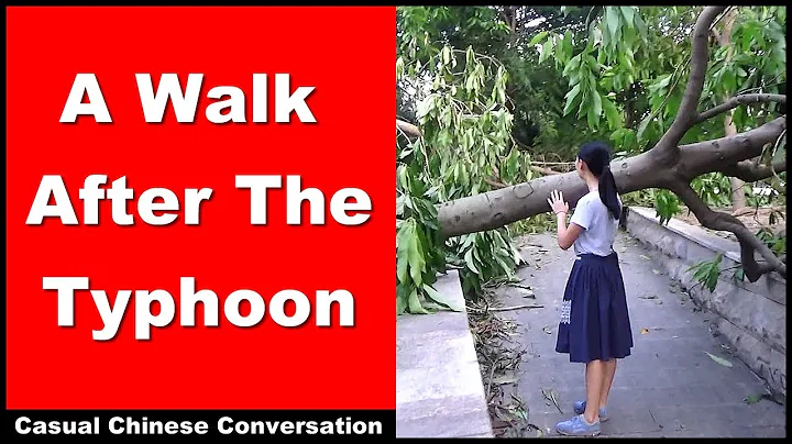 A Walk After The Typhoon - Intermediate Chinese Listening Practice | Chinese Conversation | HSK3 - DayDayNews