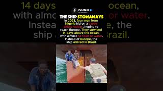 Full The Atlantic Stowaways #shorts Update