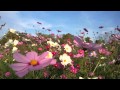 古里を越え full ver.   江本貴明