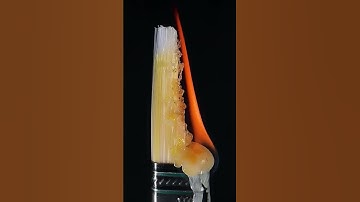 Macro burning brush #macro #macrovideo #macrophotography #macrozoom #burning #brush #ASMR