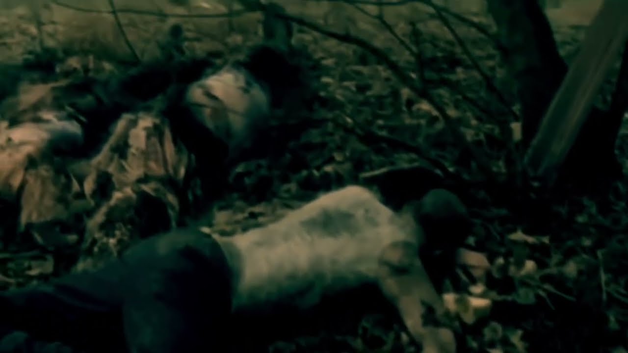 That’s Not You (official music video YouTube