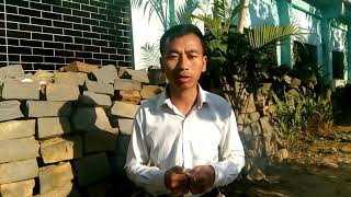 Earth Friendly Generation EFG