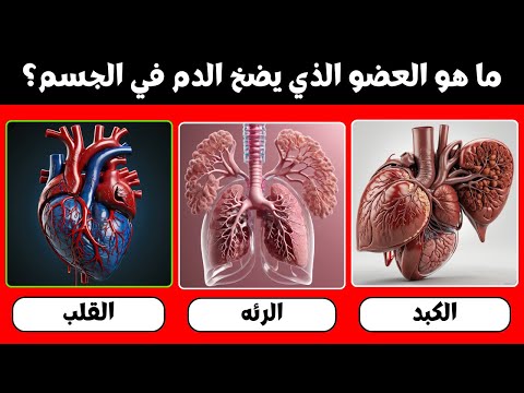 أسئلة ثقافة عامة 40 سؤال ا ثقافي ا ممتع ا اختبر معلوماتك في سؤال وجواب ألغاز صعبة الحل