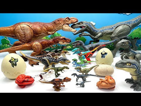 10 Tyrannosaurus Rex VS 10 Velociraptor Blue! Dinosaurus Battle Video