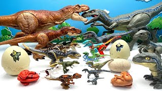 10 Tyrannosaurus Rex Vs 10 Velociraptor Blue Dinosaurus Battle Video