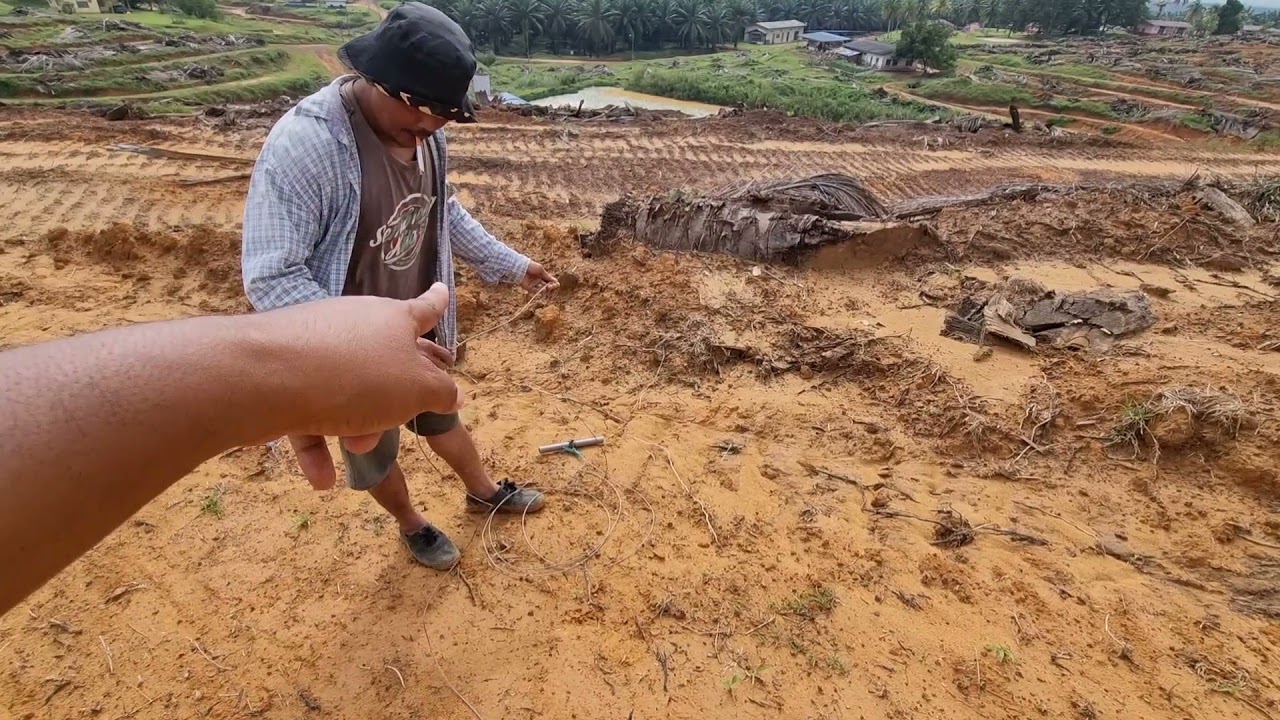 [Violle Lining untuk Kawasan Immature] Apakah perincian Peralatan yg digunakan?