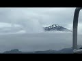 Humpback Whale Calf Breaching - Sitka, Alaska - 5/23/23