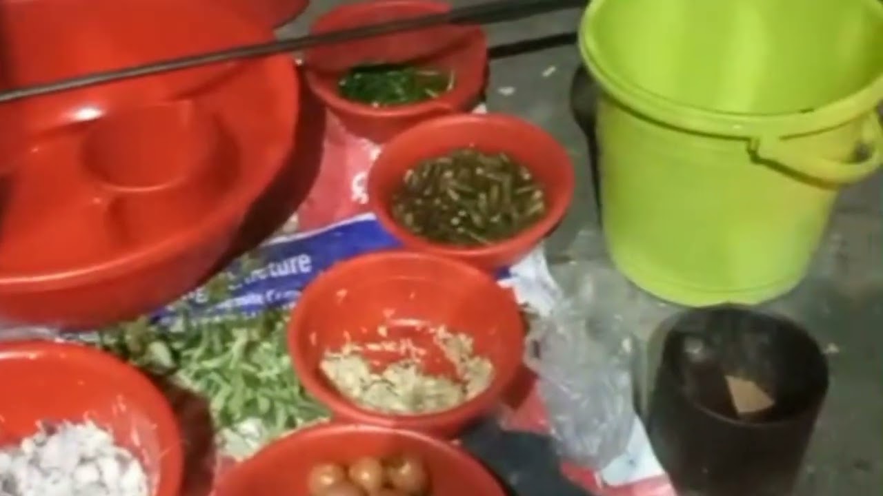 নতুন বছরে পিকনিক এ আপুর বাসায় সব আত্নীয়দের সাথে কি কি করলাম। 