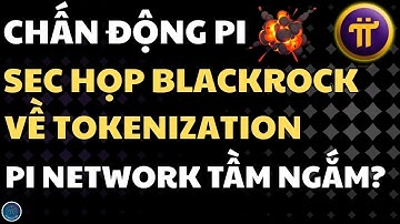 CHẤN ĐỘNG: PI NETWORK ĐƯỢC SEC, BLACKROCK, ROBINHOOD ĐƯA VÀO TẦM NGẮM! | PI NETWORK HÔM NAY