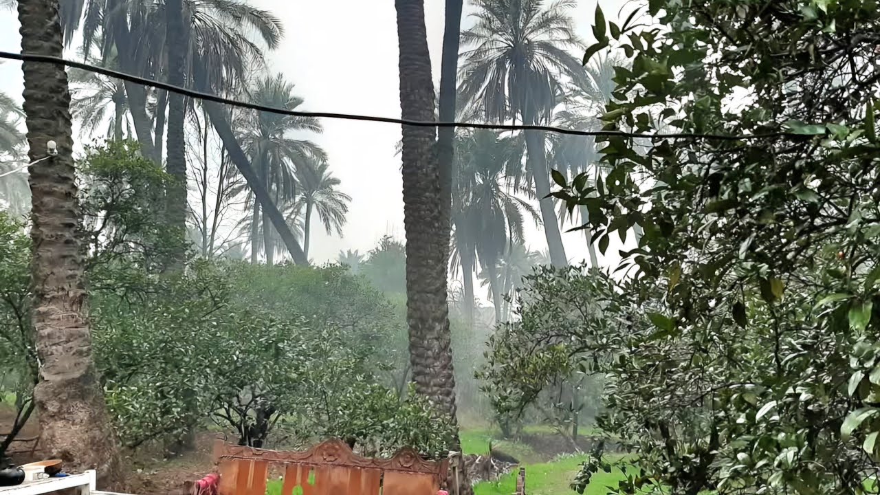 #بساتين_الهويدر طبيعة ساحرة وجمال أخاذ و هواء لطيف