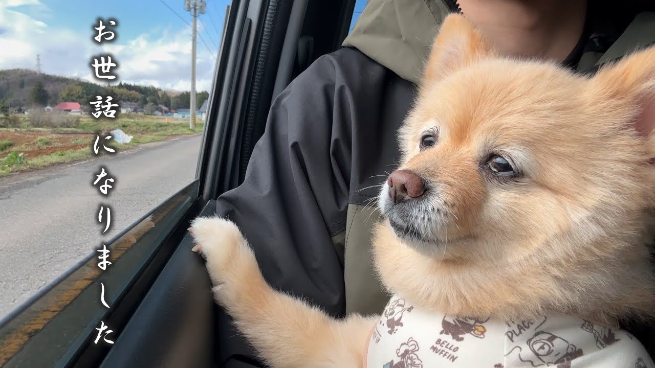 しばらく家族とお別れすることになりました…