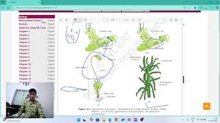 🌱 Plant Kingdom L-4 | Types of Bryophytes - Liverworts and Mosses | NCERT NEET Biology 2026 🚀