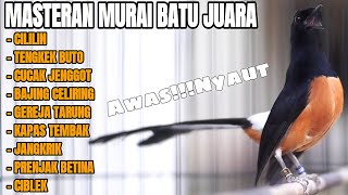 MASTERAN MURAI BATU GACOR FULL ISIAN TEMBAKAN MEWAH CILILIN KAPAS TEMBAK JANGKRIK GEREJA CIBLEK