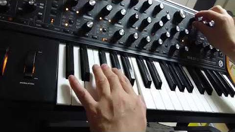 [Machine] The Solo with moog Sub37 Duo Mode demo 2