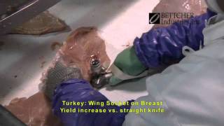 Turkey Wing Socket on Breast
