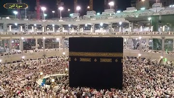 سورة التين ياسر سلامة