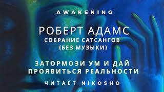 Роберт Адамс - Затормози ум и дай проявиться Реальности