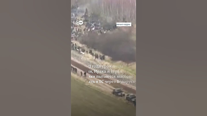 Мигранты штурмуют границу Польши и Беларуси #граница #польша #беларусь #мигранты