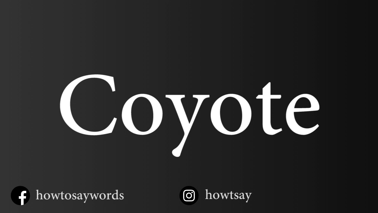 How To Pronounce Coyote - YouTube