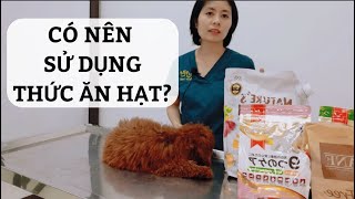 Ưu nhược điểm của việc cho chó ăn thức ăn hạt (công nghiệp) và thức ăn truyền thống