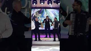Alin de la Orăștie - Melodie Nouă - Nunta Anului #alindelaorastie #promo #shorts #sicoenetwork