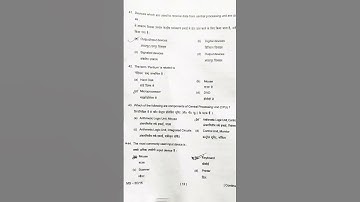 SEC 3 Elementary computer application software question paper SEM 3 ( Ranchi University) 2024