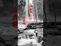 【唐獅子牡丹】 高倉健 #shorts #唐獅子牡丹 #高倉健 #昭和歌謡 #任侠
