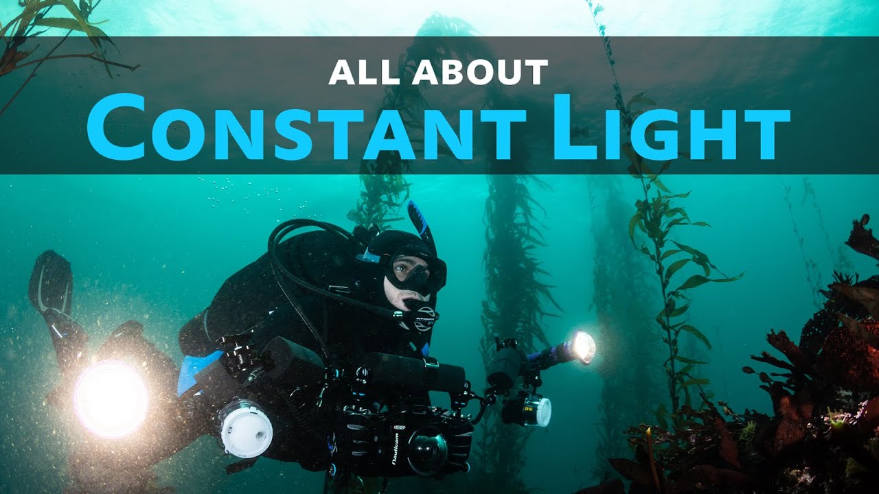 All About Constant Light Underwater 