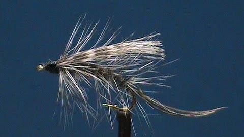 Beginner Fly Tying a Grizzly Spey with Jim Misiura