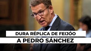 Feijóo a Pedro Sánchez: 