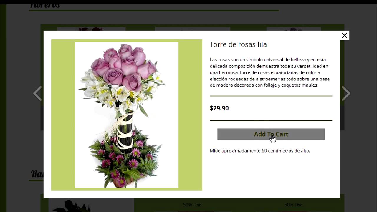 Introducción Web Venta de Flores a Domicilio - YouTube