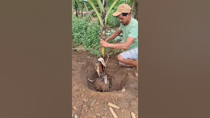 How Vietnamese are Triple Earning From Banana Harvest! 🤯