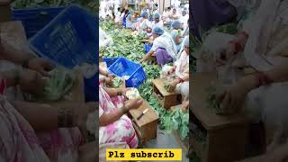 bharhma bhojan