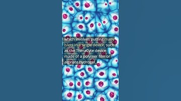 6ii Encapsulation and immune-modulating biomaterials