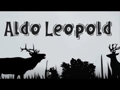 Video: Je, Aldo Leopold anafafanuaje neno maadili kuhusiana na ikolojia?