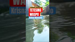 Tetesing Waspo Krisna Riswanto