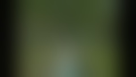 تلاوة قرأنية قصيرة تستحق التأمل