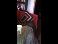 IMG 0131