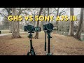 S-CINETONE VS NATURAL / GH5 VS SONY A7SIII SAMPLE FOOTAGE