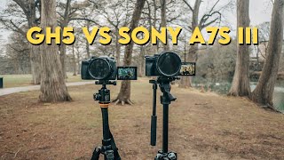S-CINETONE VS NATURAL / GH5 VS SONY A7SIII SAMPLE FOOTAGE