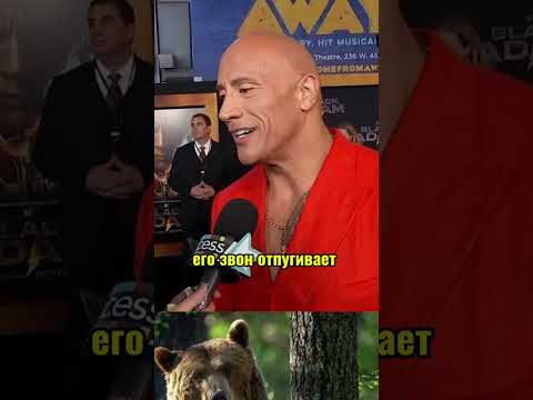 Скала Джонс. На отдыхе #цитаты #стэтхэм #смех #скаладжонс #джейсонстэйтем #дуэинджонс #мемы #юмор #