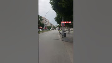 Datamph YOLO V8 Model Real World Detection 1