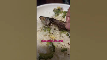 Kain Mona Youtubevideo Viralvideo 