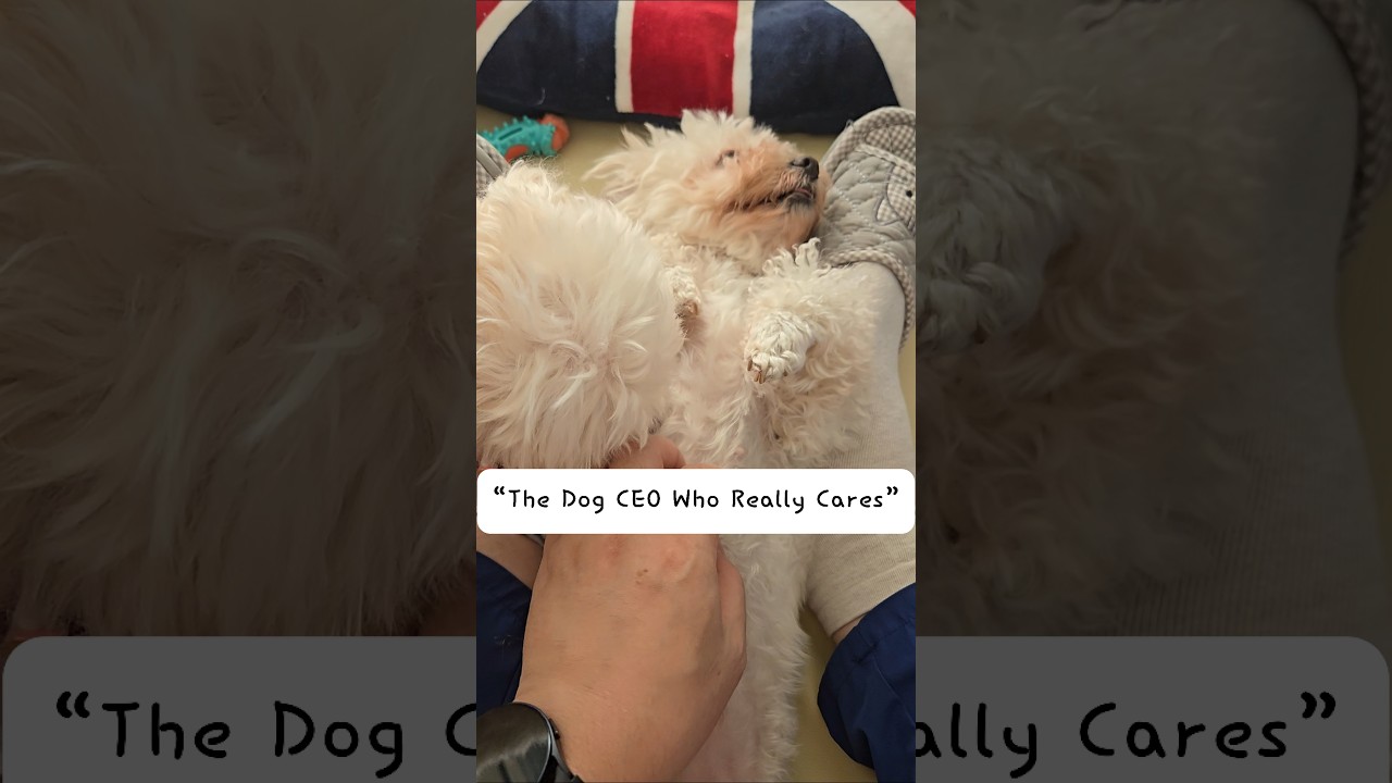 I hope every subscriber meets a boss like this 