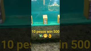 10 pesos win 500 pesos ????peryahan perya