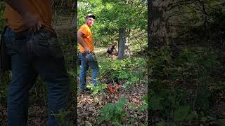 AX men #treefelling #hardwork #treework #menworking #outdoors #nature #logging